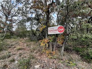 Vente  Terrain à Saint Martin de Pallières 93 000 euros Réf: SFN-045937E25PDU