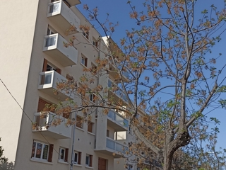 Vente  Appartement F3  de 56 m² à Toulon 225 000 euros Réf: SFN-1508193