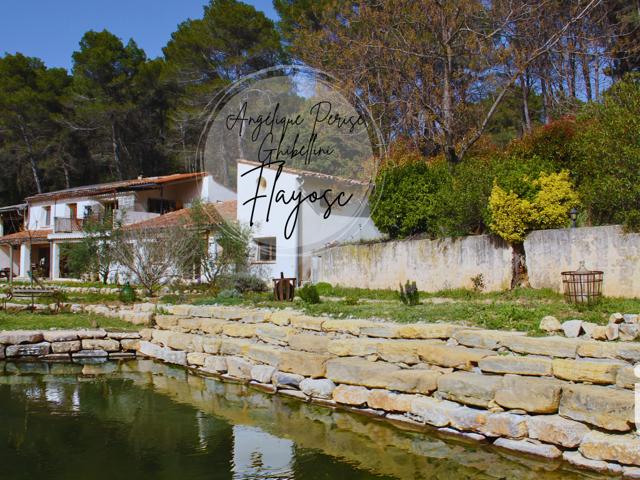 Vente  Maison de 200 m² à Flayosc 690 000 euros Réf: SFN-1617798
