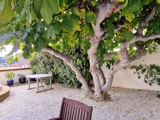 Vente  Maison de 125 m² à Ollioules 680 000 euros