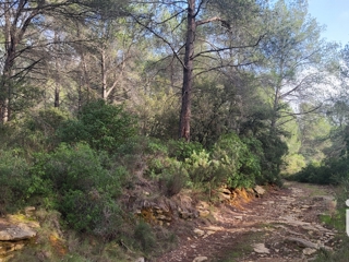 Vente  Terrain de 12897 m² au Beausset 56 000 euros