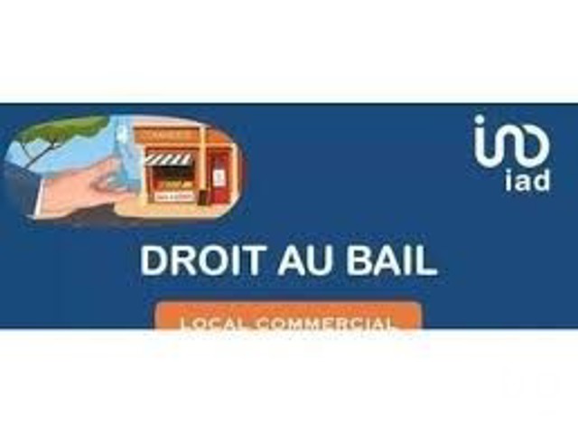 Vente  Local commercial de 60 m² à Saint Raphaël 77 000 euros Réf: SFN-1652261