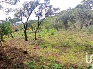 Vente  Terrain de 1700 m² à Sainte Maxime 979 000 euros