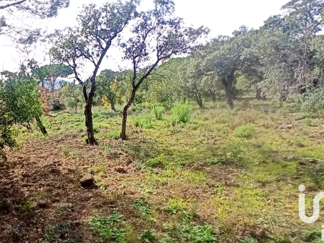 Vente  Terrain de 1700 m² à Sainte Maxime 979 000 euros Réf: SFN-1679557