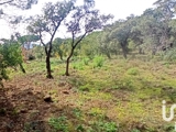 Vente  Terrain de 1700 m² à Sainte Maxime 979 000 euros