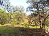 Vente  Terrain de 1520 m² à Sainte Maxime 886 000 euros