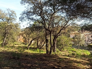 Vente  Terrain de 3231 m² à Sainte Maxime 1 855 000 euros