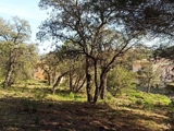 Vente  Terrain de 3231 m² à Sainte Maxime 1 855 000 euros