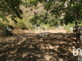 Vente  Terrain de 3552 m² au Luc 180 000 euros