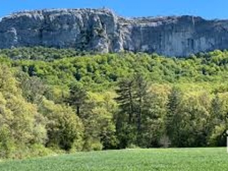 Vente  Studio de 28 m² à Saint Maximin la Sainte Baume 130 000 euros