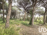 Vente  Terrain de 20000 m² à Puget sur Argens 214 000 euros