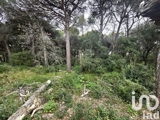 Vente  Terrain de 20000 m² à Puget sur Argens 214 000 euros