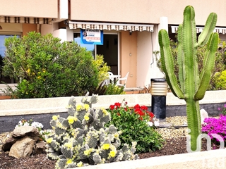 Vente  Studio de 26 m² au Lavandou 180 000 euros