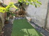 Vente  Maison de 80 m² à Cuers 215 000 euros