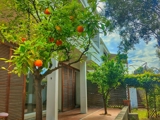 Vente  Maison de 250 m² à Hyères 950 000 euros