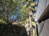 Vente  Local commercial de 42 m² à Fréjus 195 000 euros