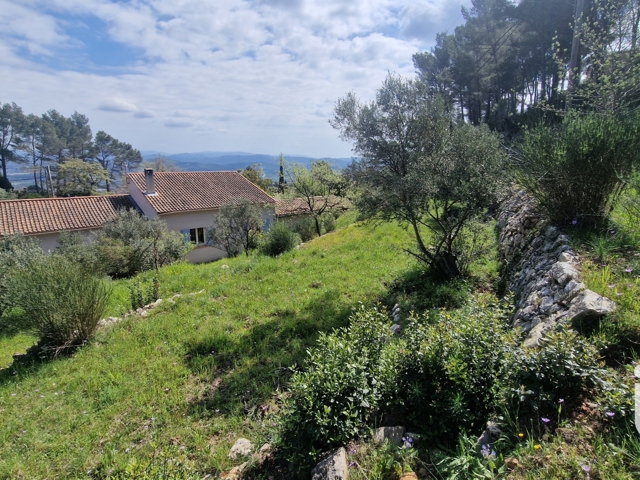 Vente  Terrain de 2000 m² à Solliès Ville 318 000 euros Réf: SFN-1742723