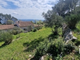 Vente  Terrain de 2000 m² à Solliès Ville 318 000 euros