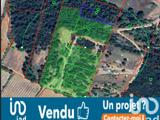 Vente  Terrain de 22990 m² au Cannet des Maures 86 020 euros