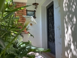 Vente  Maison de 66 m² à Bargemon 242 000 euros