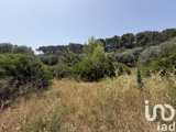 Vente  Terrain de 1100 m² au Cannet des Maures 120 000 euros