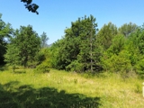 Vente  Terrain de 12527 m² à Nans les Pins 50 000 euros