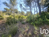 Vente  Terrain de 6180 m² à Bandol 105 000 euros