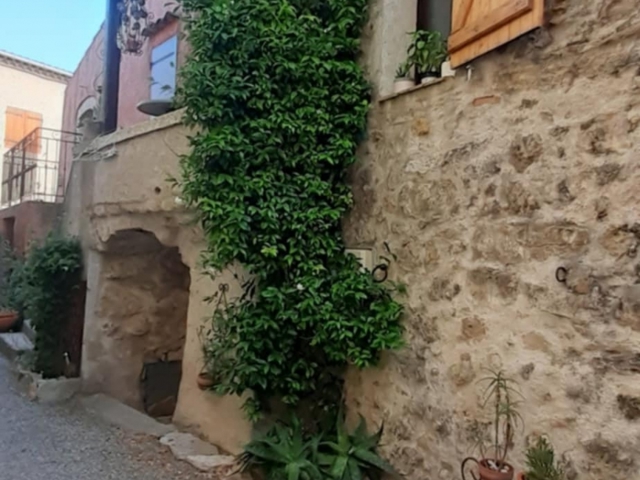 Vente  Maison de 52 m² à Saint Antonin du Var 225 000 euros Réf: SFN-1802837