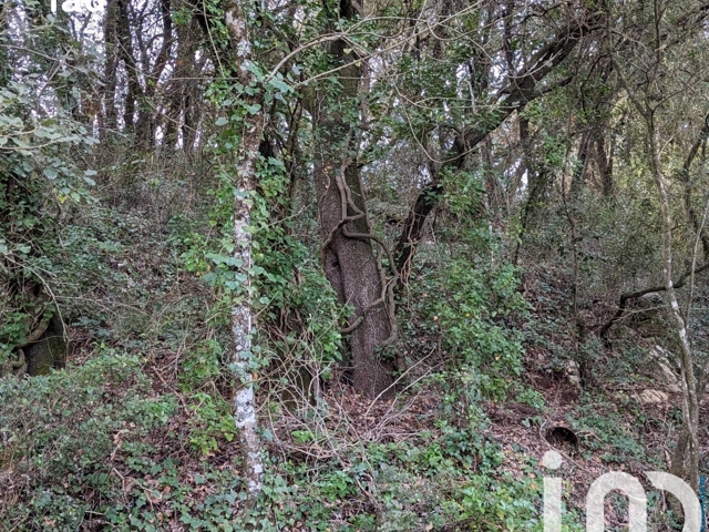 Vente  Terrain de 9000 m² à Lorgues 23 000 euros Réf: SFN-1623995