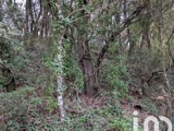 Vente  Terrain de 9000 m² à Lorgues 23 000 euros