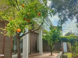 Vente  Appartement T3  de 90 m² à Hyères 400 000 euros