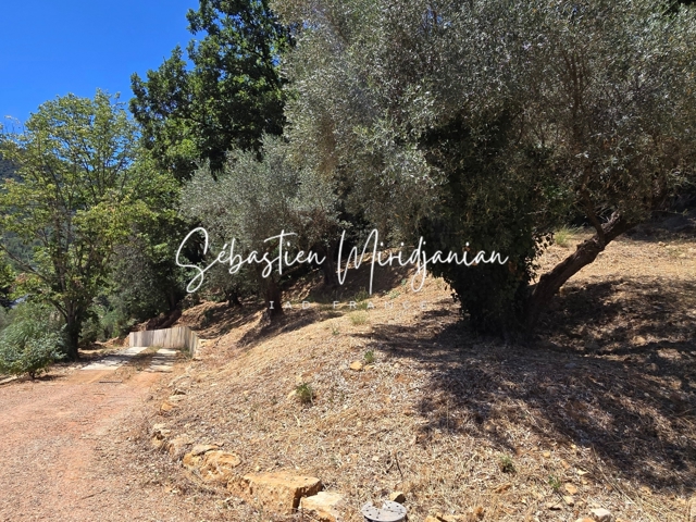 Vente  Terrain de 1987 m² à Solliès Toucas 229 000 euros Réf: SFN-1818219