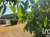 Vente  Maison de 158 m² à Signes 499 000 euros