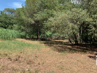 Vente  Terrain de 2554 m² à Fréjus 415 000 euros Réf: SFN-1826461