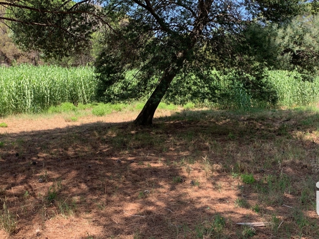 Vente  Terrain de 2559 m² à Fréjus 400 000 euros Réf: SFN-1826462