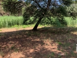 Vente  Terrain de 2559 m² à Fréjus 400 000 euros