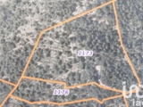 Vente  Terrain de 11030 m² à Cotignac 18 000 euros