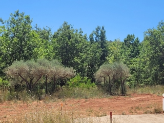 Vente  Terrain de 2302 m² à Montmeyan 90 000 euros