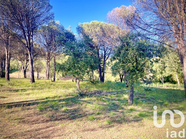 Vente  Terrain de 1413 m² à Grimaud 610 000 euros Réf: SFN-1860605