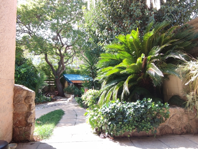 Vente  Maison de 82 m² à Solliès Pont 315 000 euros Réf: SFN-1866603