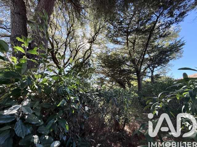 Vente  Appartement F2  de 40 m² à Sanary 179 000 euros Réf: SFN-1878012