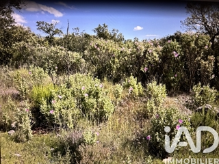 Vente  Terrain de 10077 m² à Sainte Maxime 14 000 euros