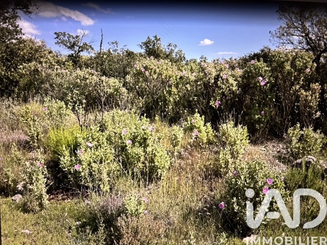 Vente  Terrain de 10077 m² à Sainte Maxime 14 000 euros Réf: SFN-1892732