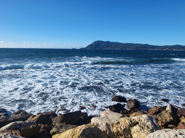 Vente  Studio de 24 m² à Saint Mandrier 140 000 euros Réf: SFN-1923748