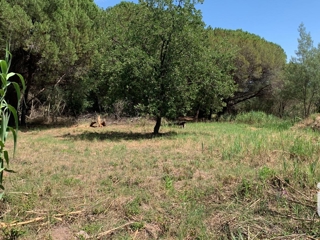 Vente  Terrain de 544 m² à Fréjus 252 500 euros Réf: SFN-1826464