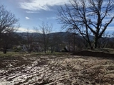Vente  Terrain de 400 m² à Roquebrune sur Argens 187 500 euros