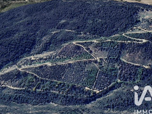 Vente  Terrain de 150000 m² au Plan de la Tour 699 000 euros Réf: SFN-1968706