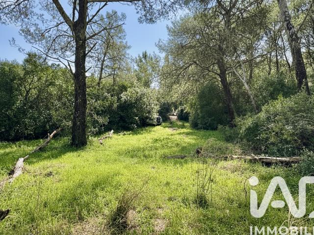 Vente  Terrain de 89951 m² au Castellet 50 000 euros Réf: SFN-1973197
