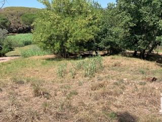 Vente  Terrain de 503 m² à Fréjus 222 000 euros Réf: SFN-1826467