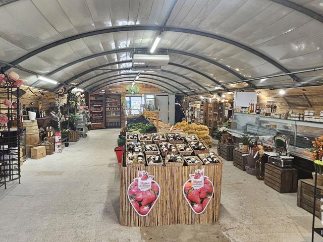 Vente  Local commercial de 100 m² à Lorgues 370 000 euros Réf: SFN-1975457